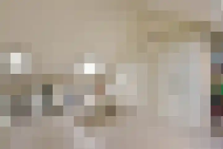 Irislaan 8 De Kwakel thumbnail 22