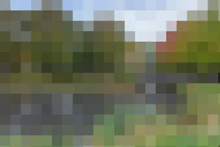 Irislaan 8 De Kwakel thumbnail 24