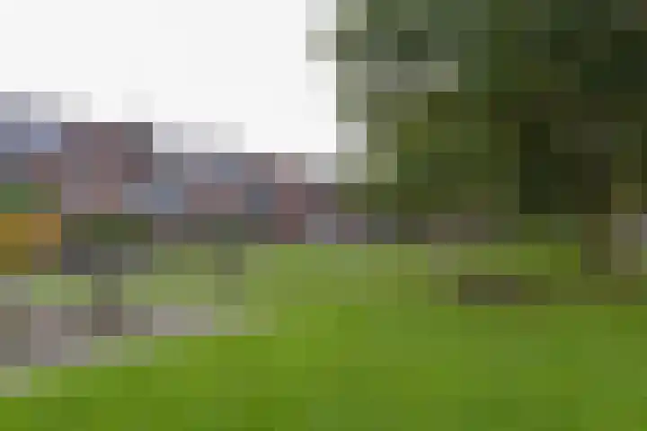 Irislaan 8 De Kwakel thumbnail 25