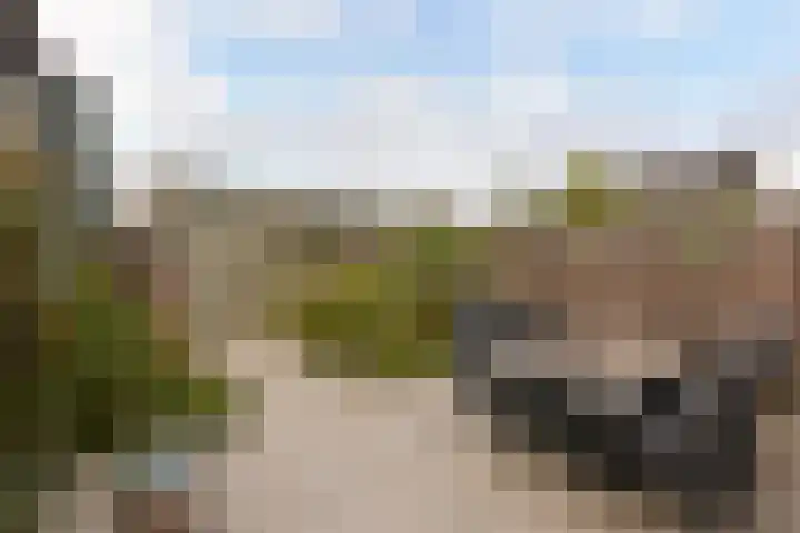 Irislaan 8 De Kwakel thumbnail 8