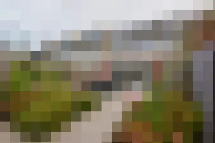 Irislaan 8 De Kwakel thumbnail 9