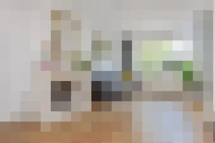 Irislaan 90 Berkel en Rodenrijs thumbnail 13