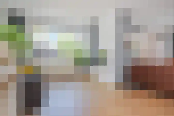 Irislaan 90 Berkel en Rodenrijs thumbnail 14