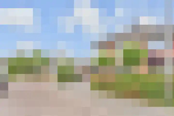 Irislaan 90 Berkel en Rodenrijs thumbnail 5
