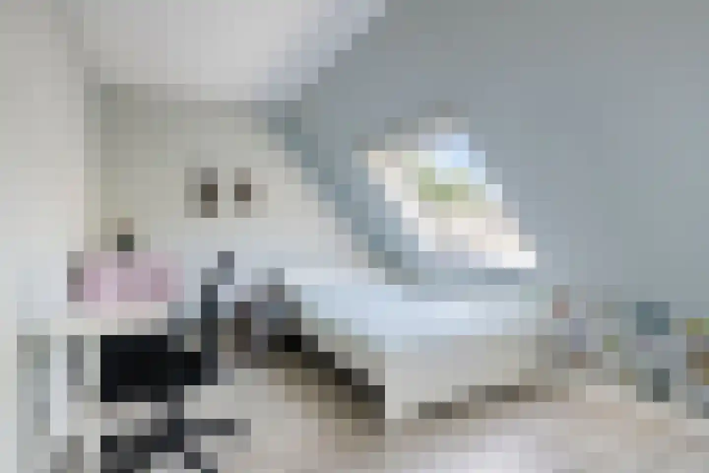 Irispad 3 Almere thumbnail 18