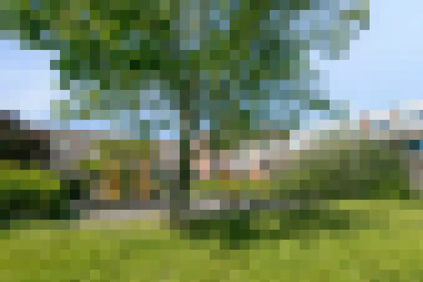 Irispad 3 Almere thumbnail 23