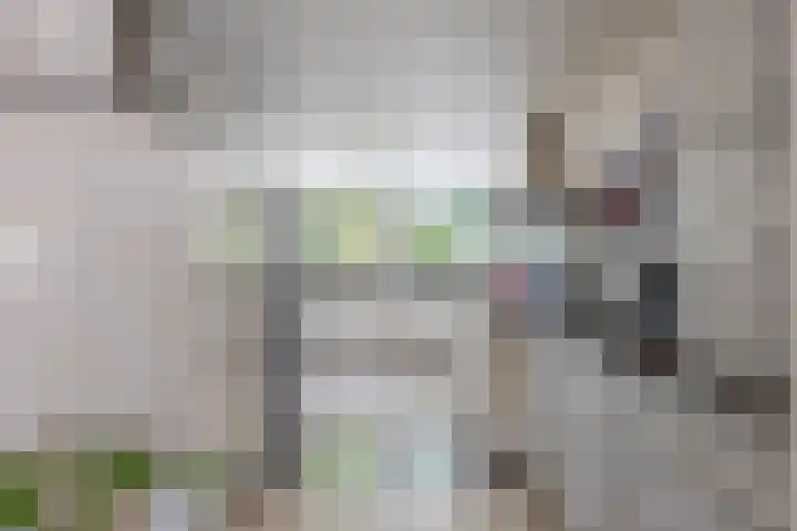 Irispark 110 Berkel en Rodenrijs thumbnail 15