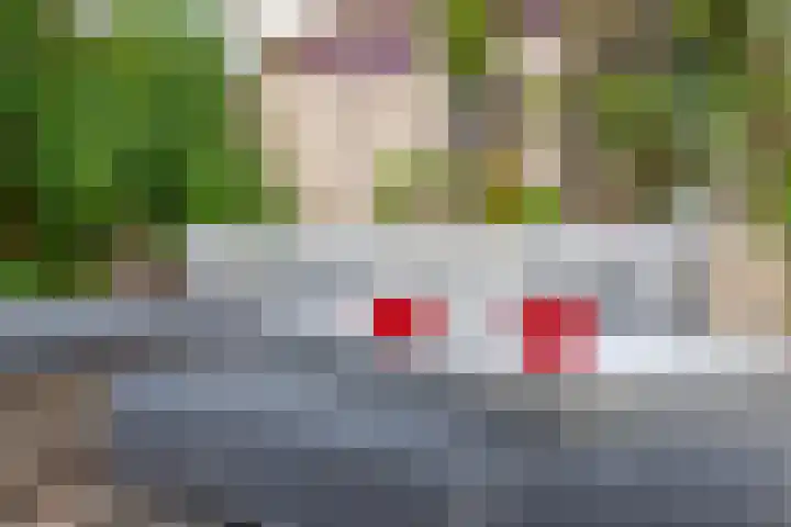 Irispark 110 Berkel en Rodenrijs thumbnail 21