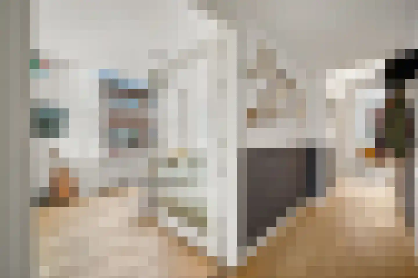 Irisplein 17 Den Haag thumbnail 14