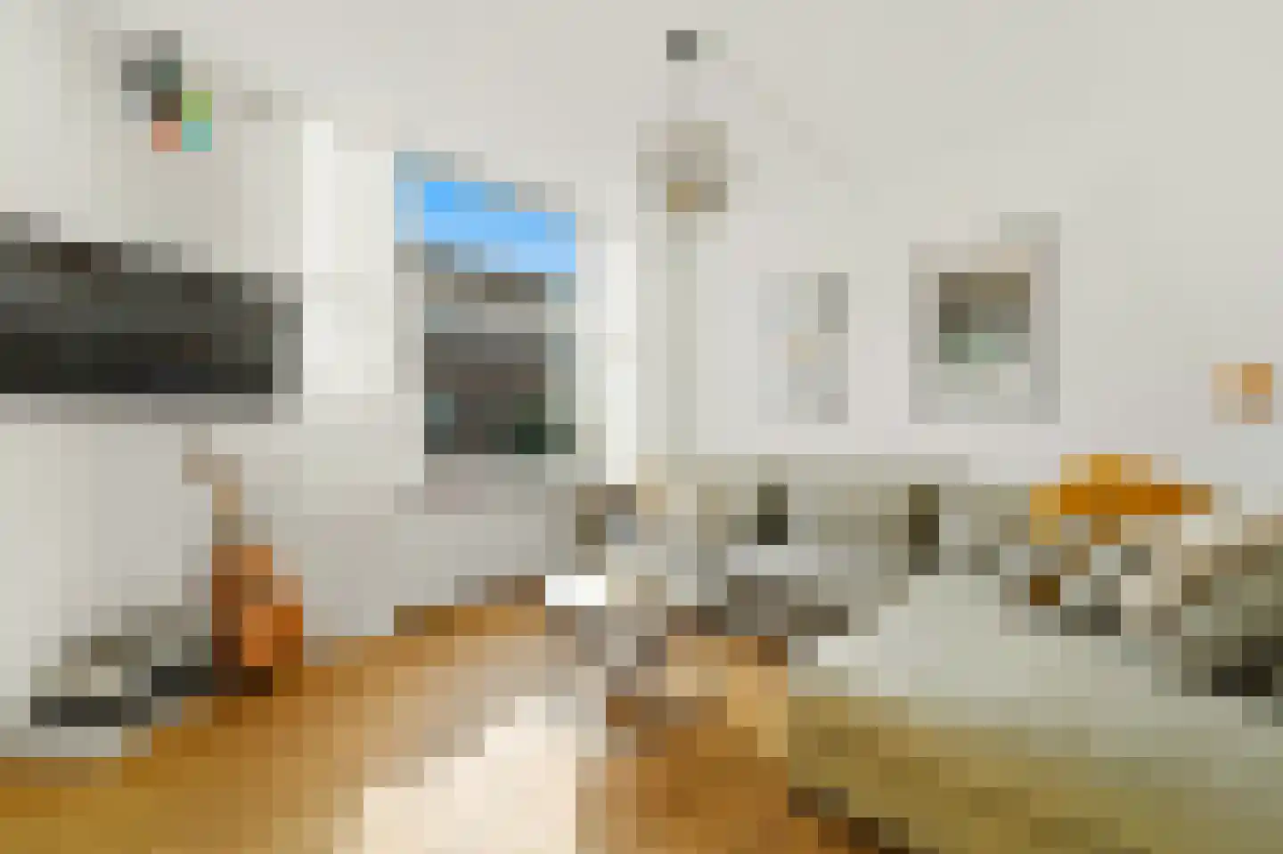 Irisplein 17 Den Haag thumbnail 8