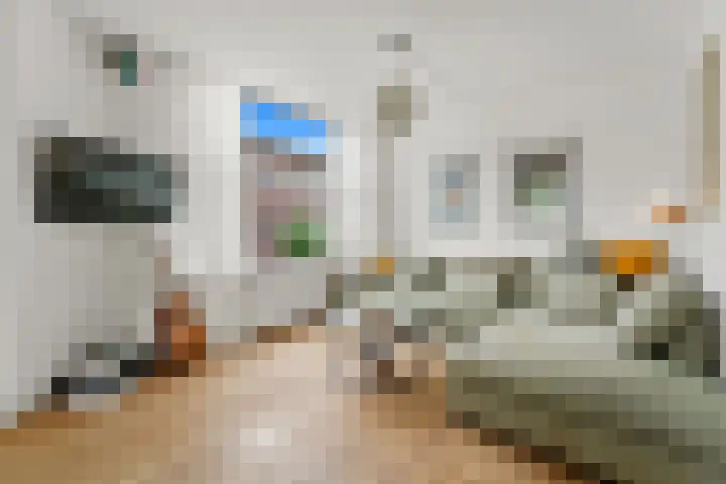 Irisplein 17 Den Haag thumbnail 9