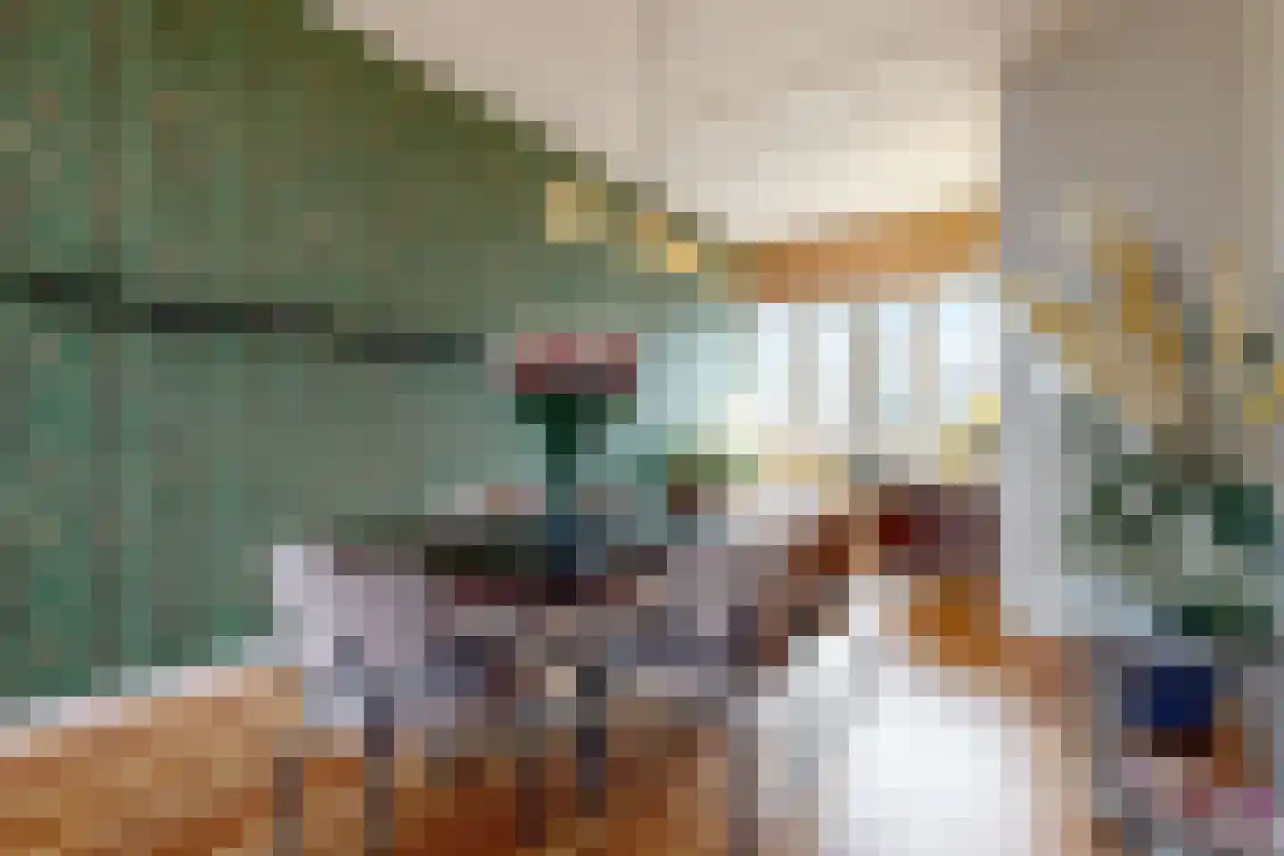 Irisplein 19 Den Haag thumbnail 9