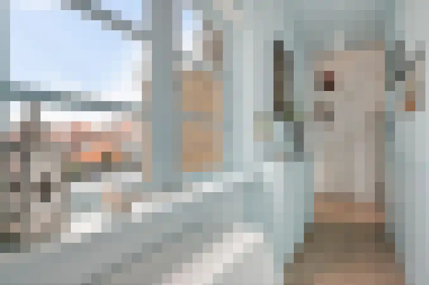 Irisplein 2 Noordwijk thumbnail 20