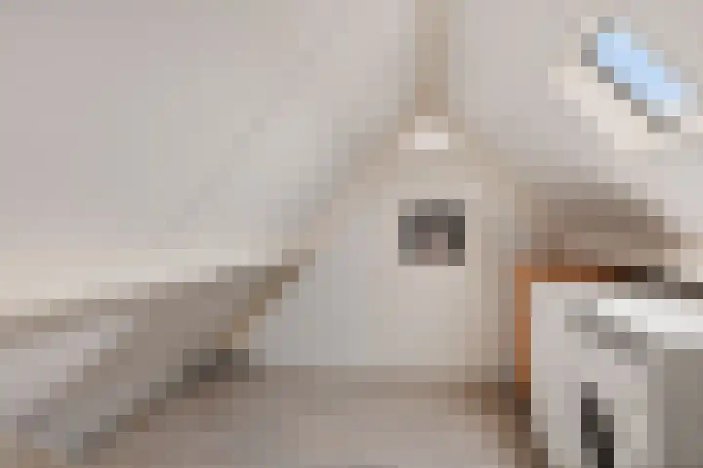 Irisplein 2 Noordwijk thumbnail 34