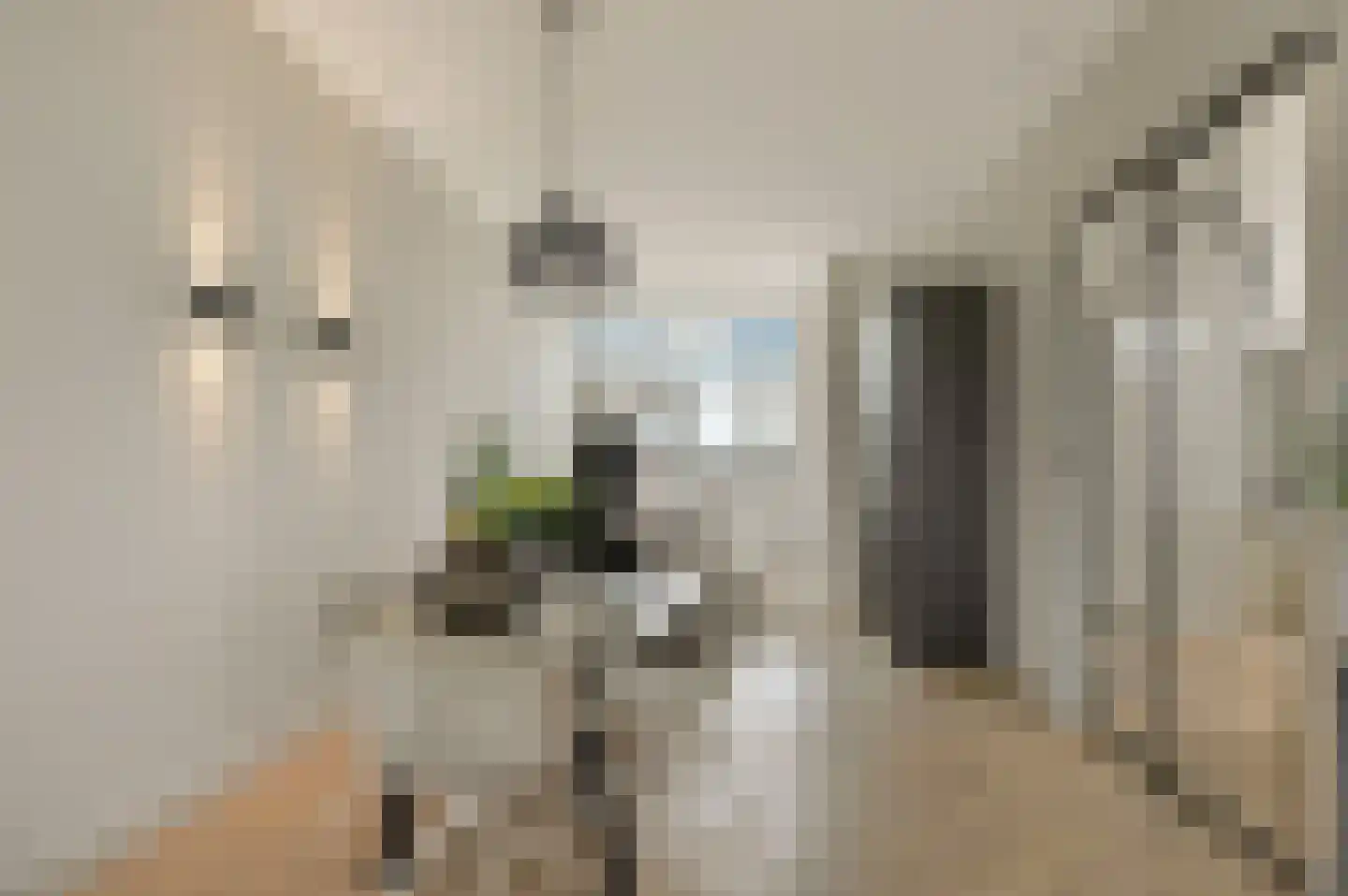 Irisplein 25 Den Haag thumbnail 8