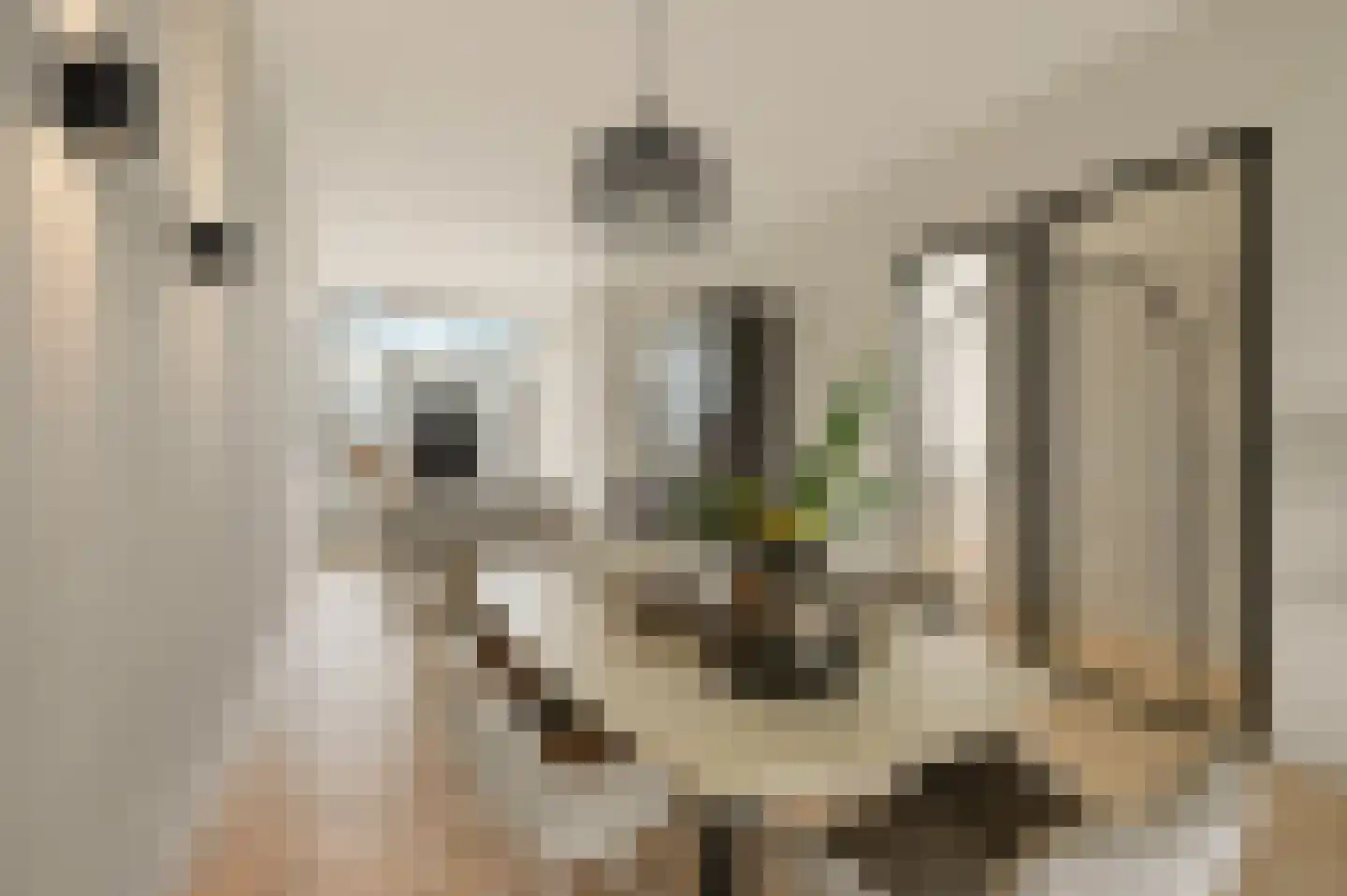 Irisplein 25 Den Haag thumbnail 9