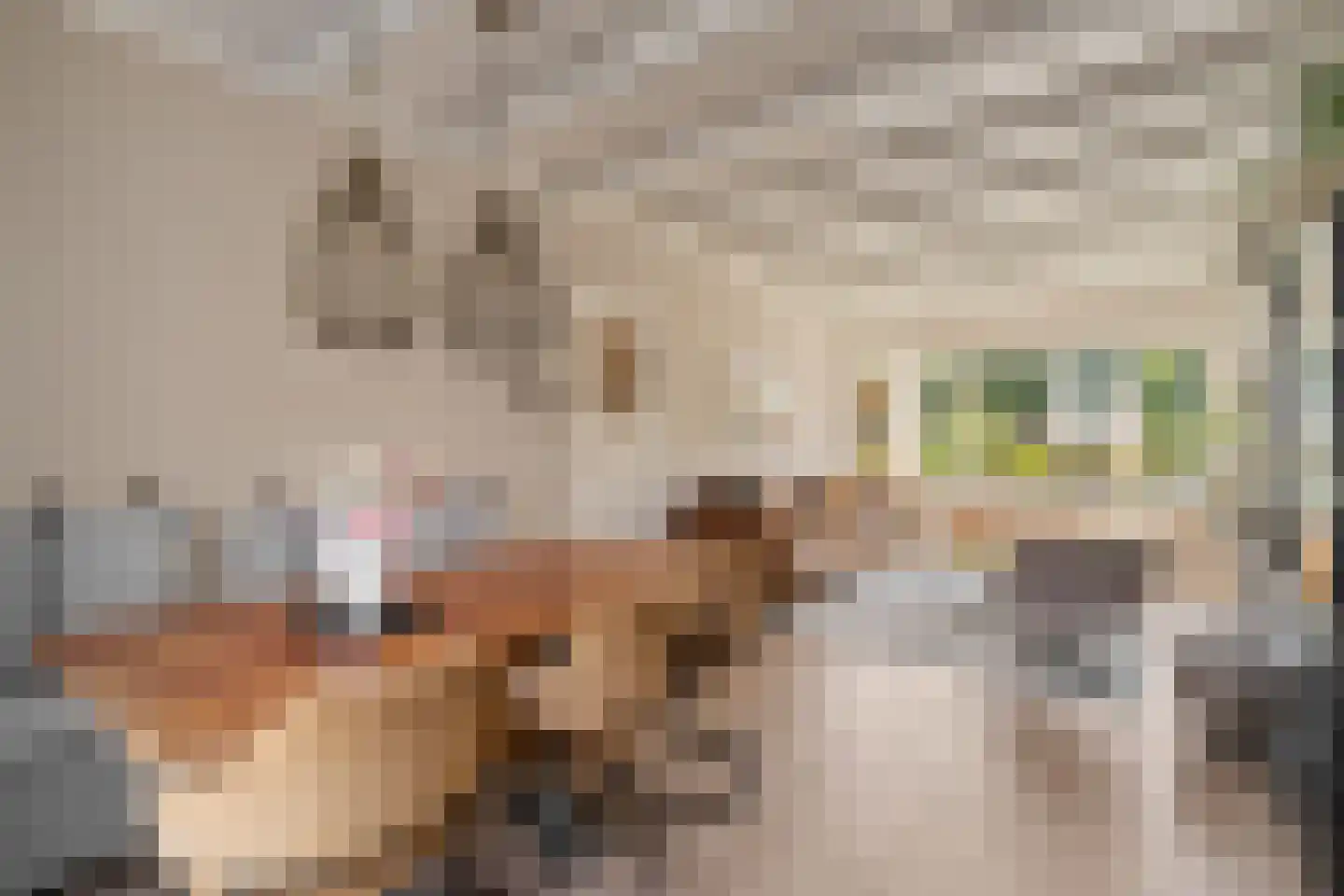 Irisplein 6 Noordwijk thumbnail 12