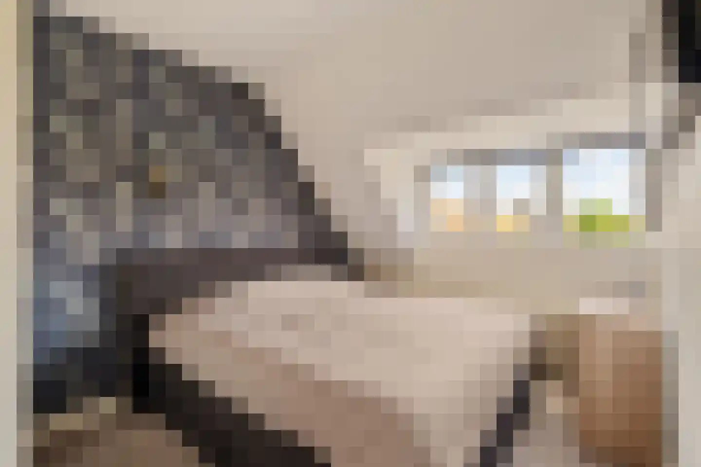Irisplein 6 Noordwijk thumbnail 19
