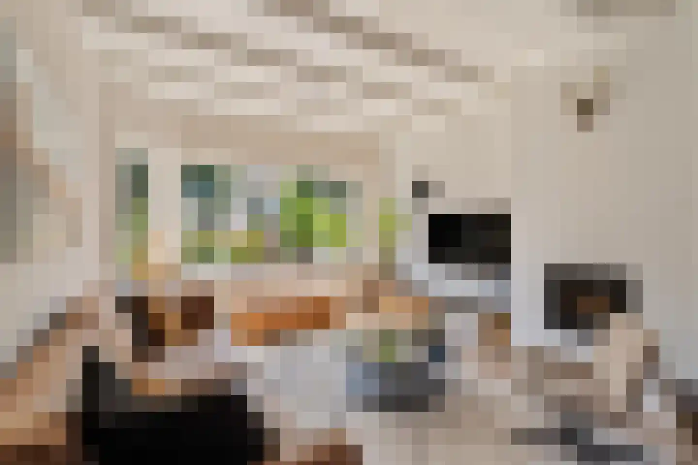 Irisplein 6 Noordwijk thumbnail 6