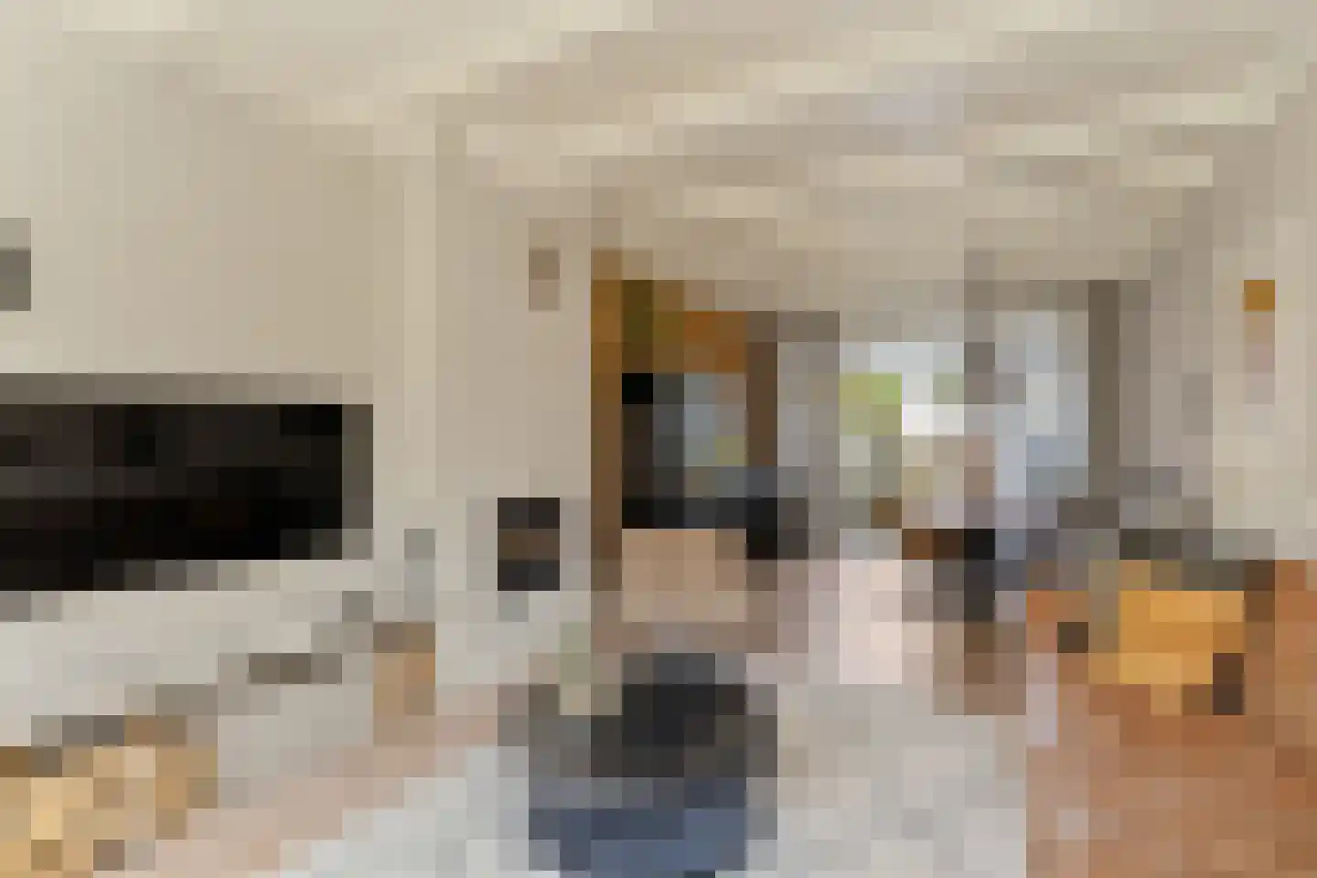 Irisplein 6 Noordwijk thumbnail 7