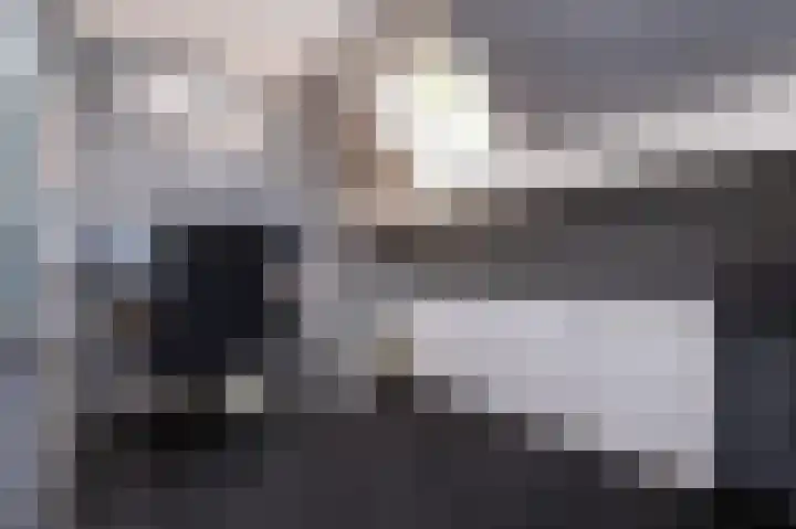 Irissenpad 29 Stellendam thumbnail 23