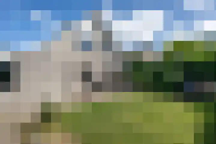 Irissenpad 29 Stellendam thumbnail 26