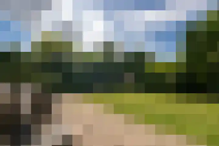 Irissenpad 29 Stellendam thumbnail 28