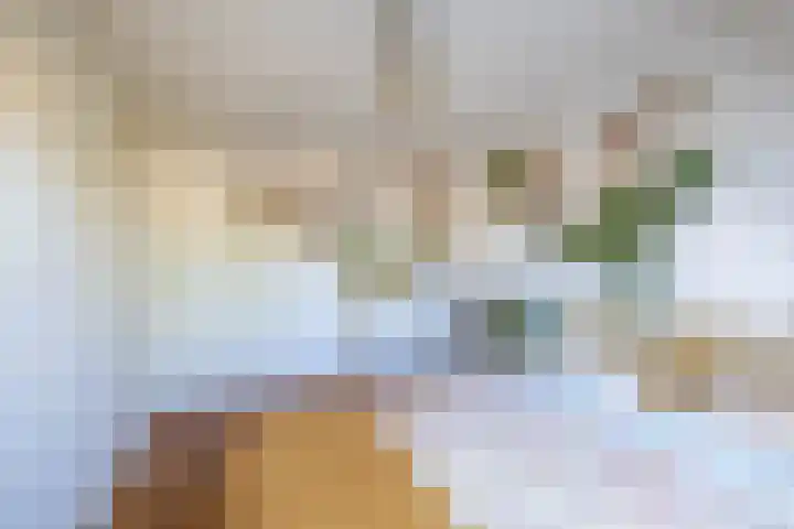 Irissenpad 7 Stellendam thumbnail 15