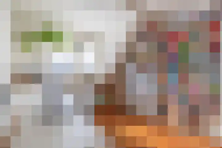Irissenpad 7 Stellendam thumbnail 16