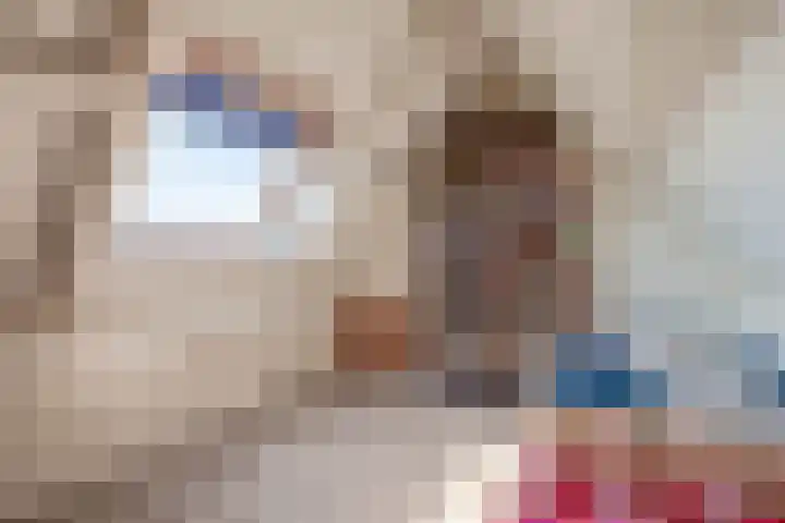 Irissenpad 7 Stellendam thumbnail 23