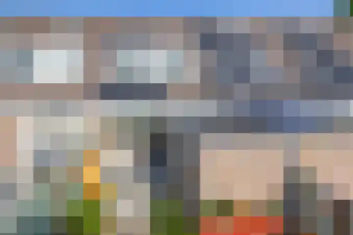 Irissenpad 7 Stellendam thumbnail 24