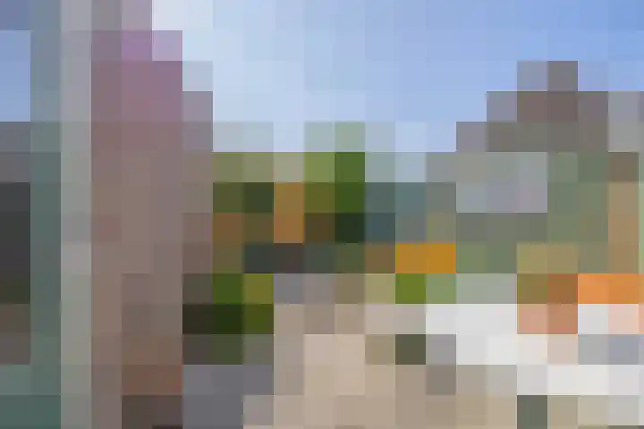 Irissenpad 7 Stellendam thumbnail 26