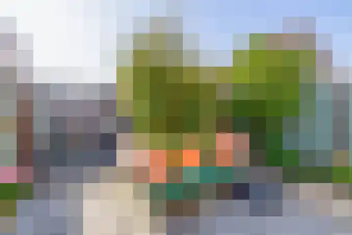 Irissenpad 7 Stellendam thumbnail 28