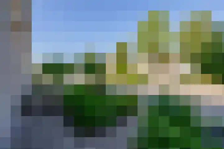 Irissenpad 7 Stellendam thumbnail 29