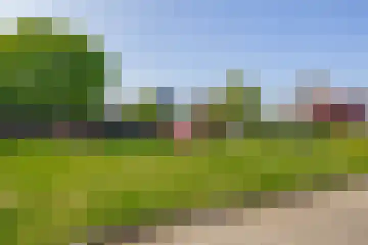 Irissenpad 7 Stellendam thumbnail 30