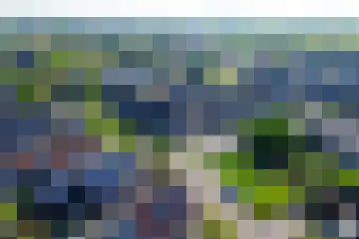 Irissenpad 7 Stellendam thumbnail 32