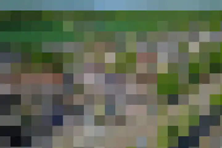 Irissenpad 7 Stellendam thumbnail 33