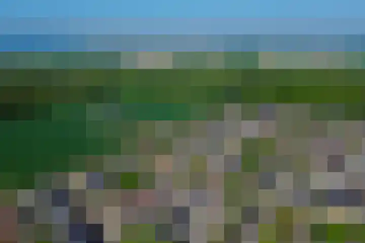 Irissenpad 7 Stellendam thumbnail 34