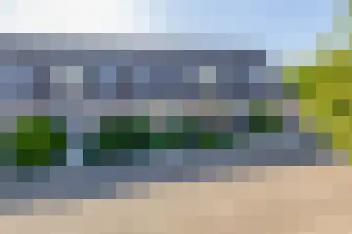 Irissenpad 7 Stellendam thumbnail 4