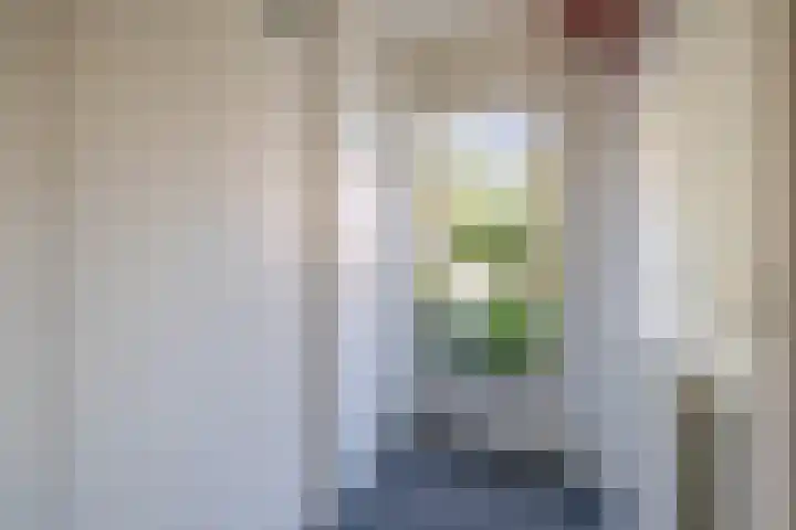 Irissenpad 7 Stellendam thumbnail 5