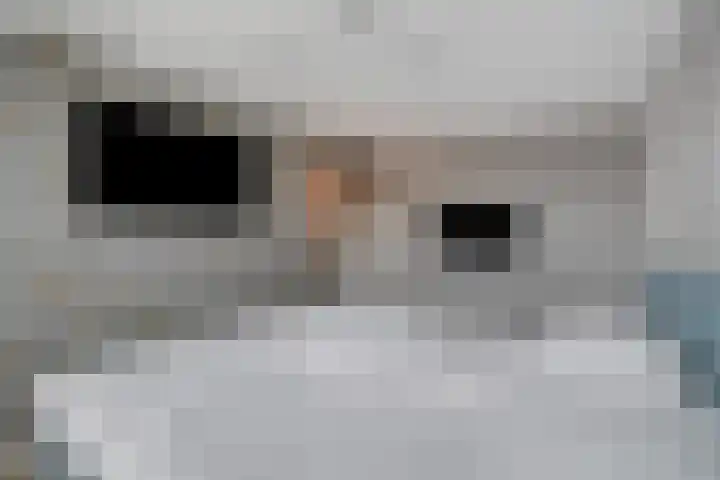 Irissenstraat 15 Breezand thumbnail 18