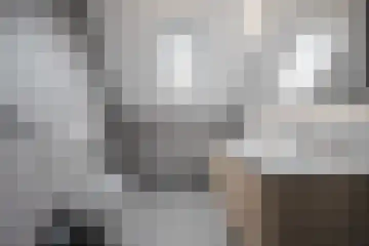 Irissenstraat 15 Breezand thumbnail 19