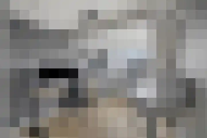 Irissenstraat 15 Breezand thumbnail 21