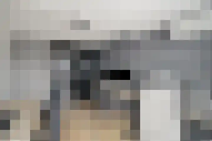Irissenstraat 15 Breezand thumbnail 22