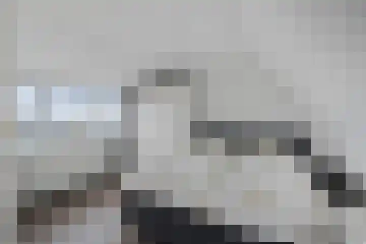 Irissenstraat 15 Breezand thumbnail 25