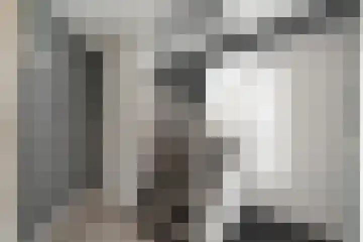 Irissenstraat 15 Breezand thumbnail 4