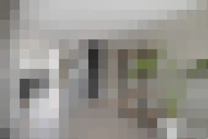 Irissenstraat 15 Breezand thumbnail 8
