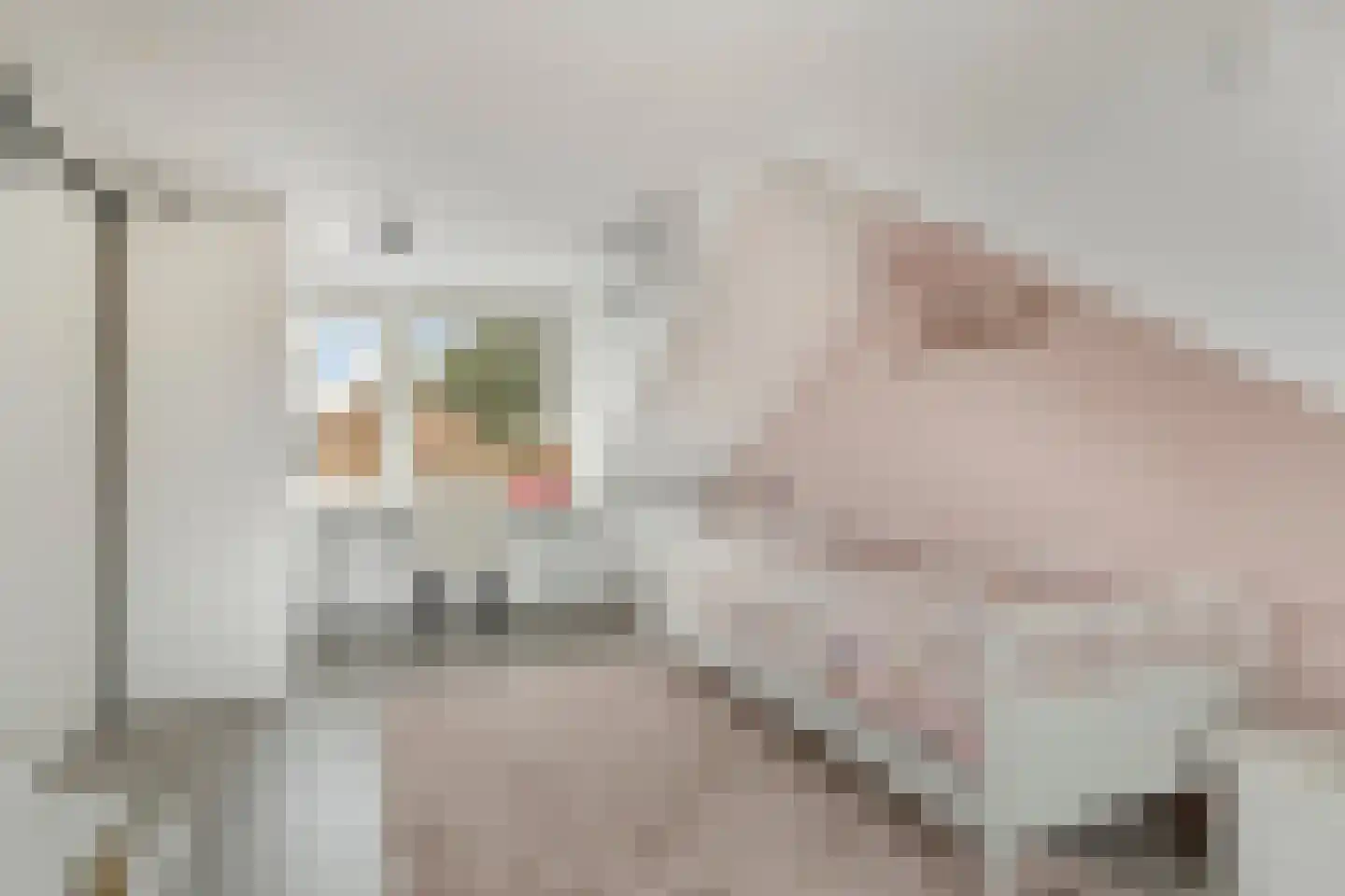 Irissenstraat 25 Volendam thumbnail 30