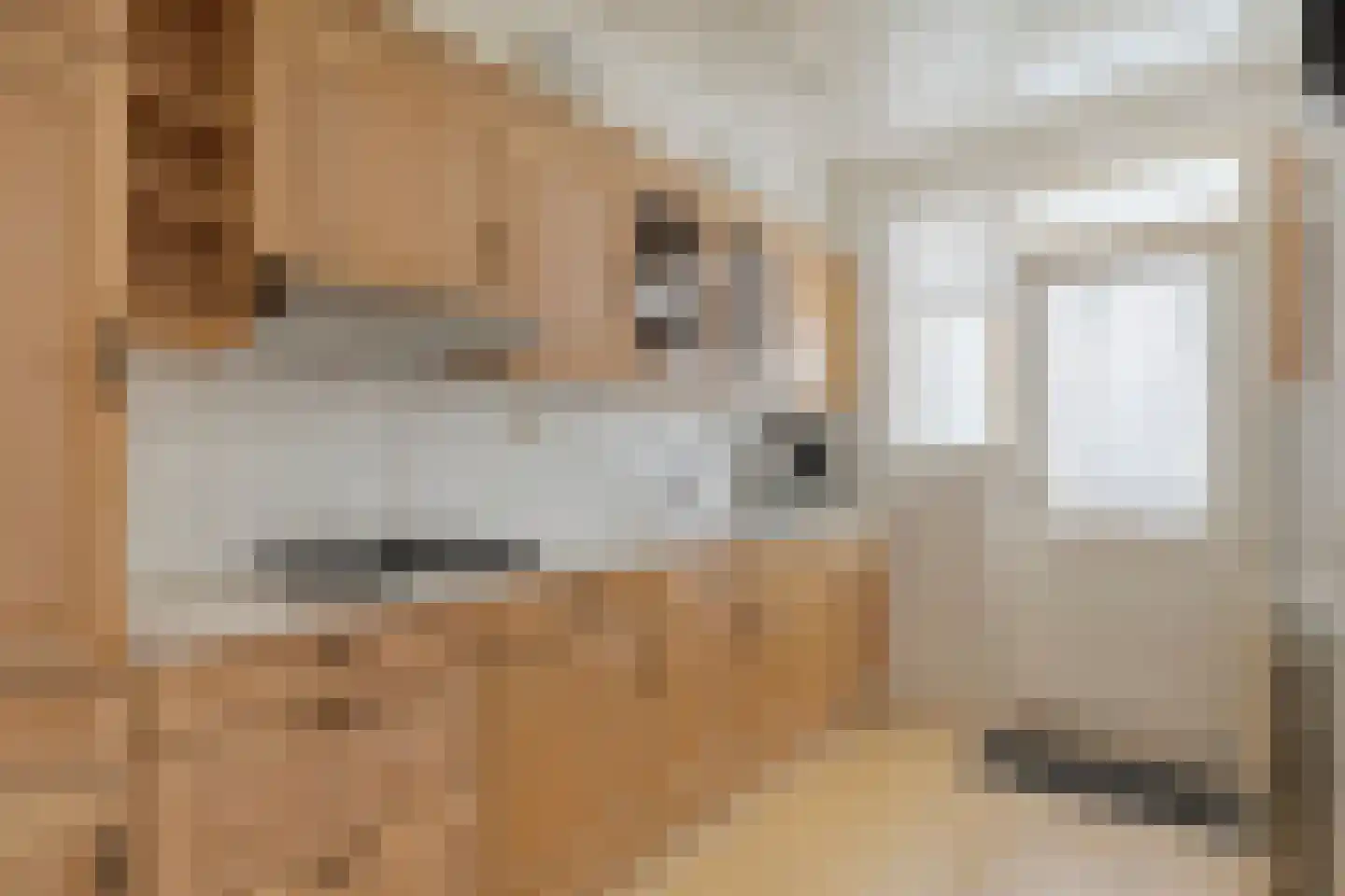 Irissenstraat 27 Volendam thumbnail 6