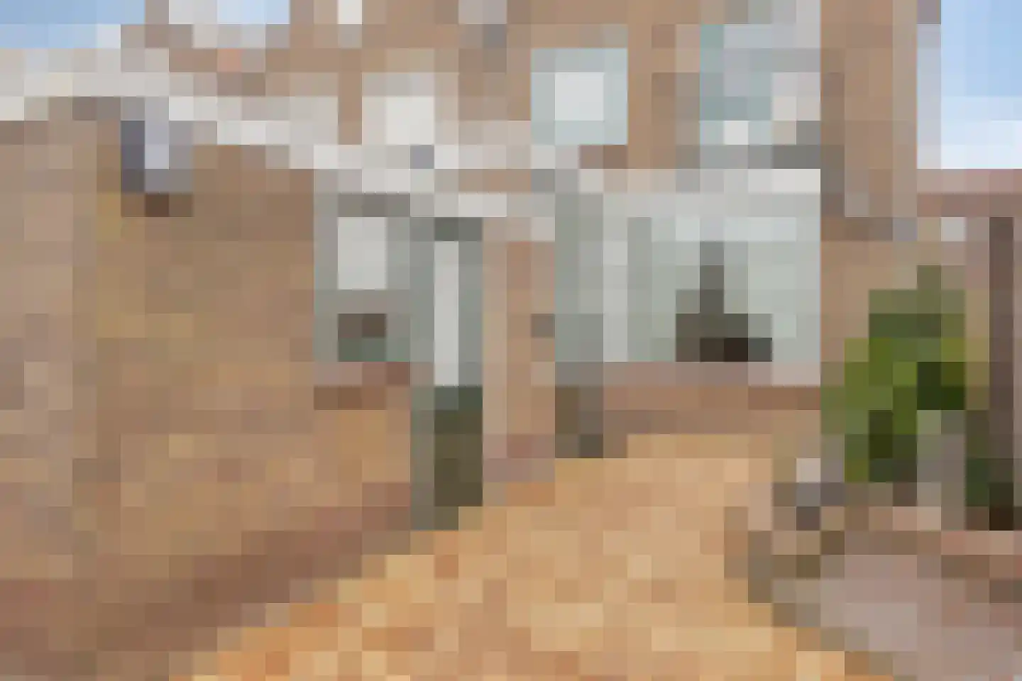 Irissenstraat 28 Volendam thumbnail 17